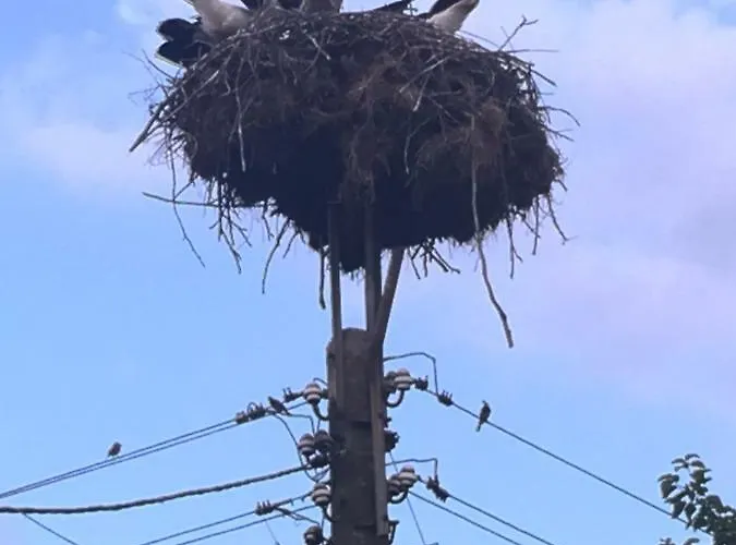 Bukor Shtepi ゲストハウス 4*